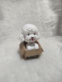 سگ روداشبوردی وارداتی